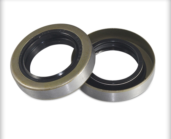 OIL SEAL 01
