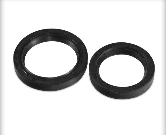 OIL SEAL 02